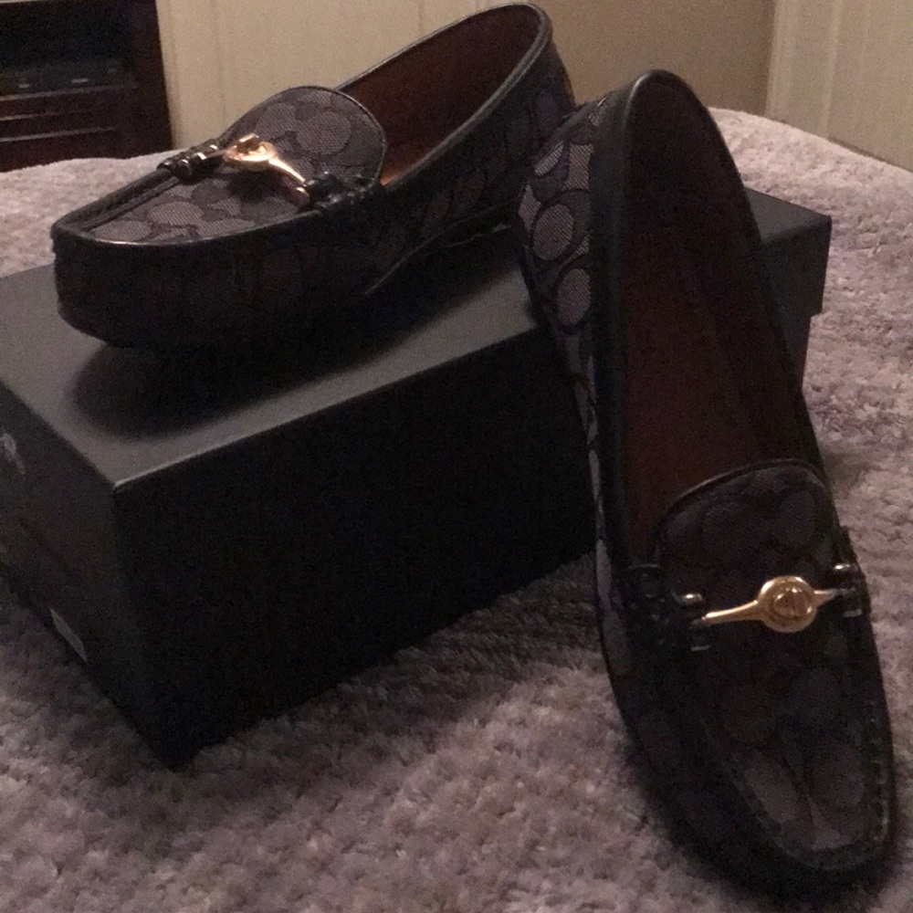 COACH TLOCk GREENWICH DRVR